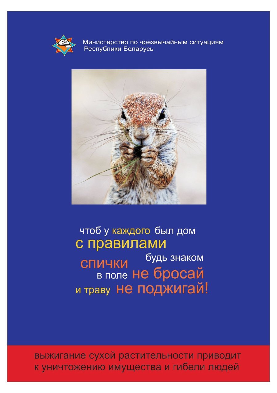 Посмотреть через вьювер